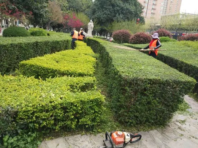 园区内道路绿化工程管理办法